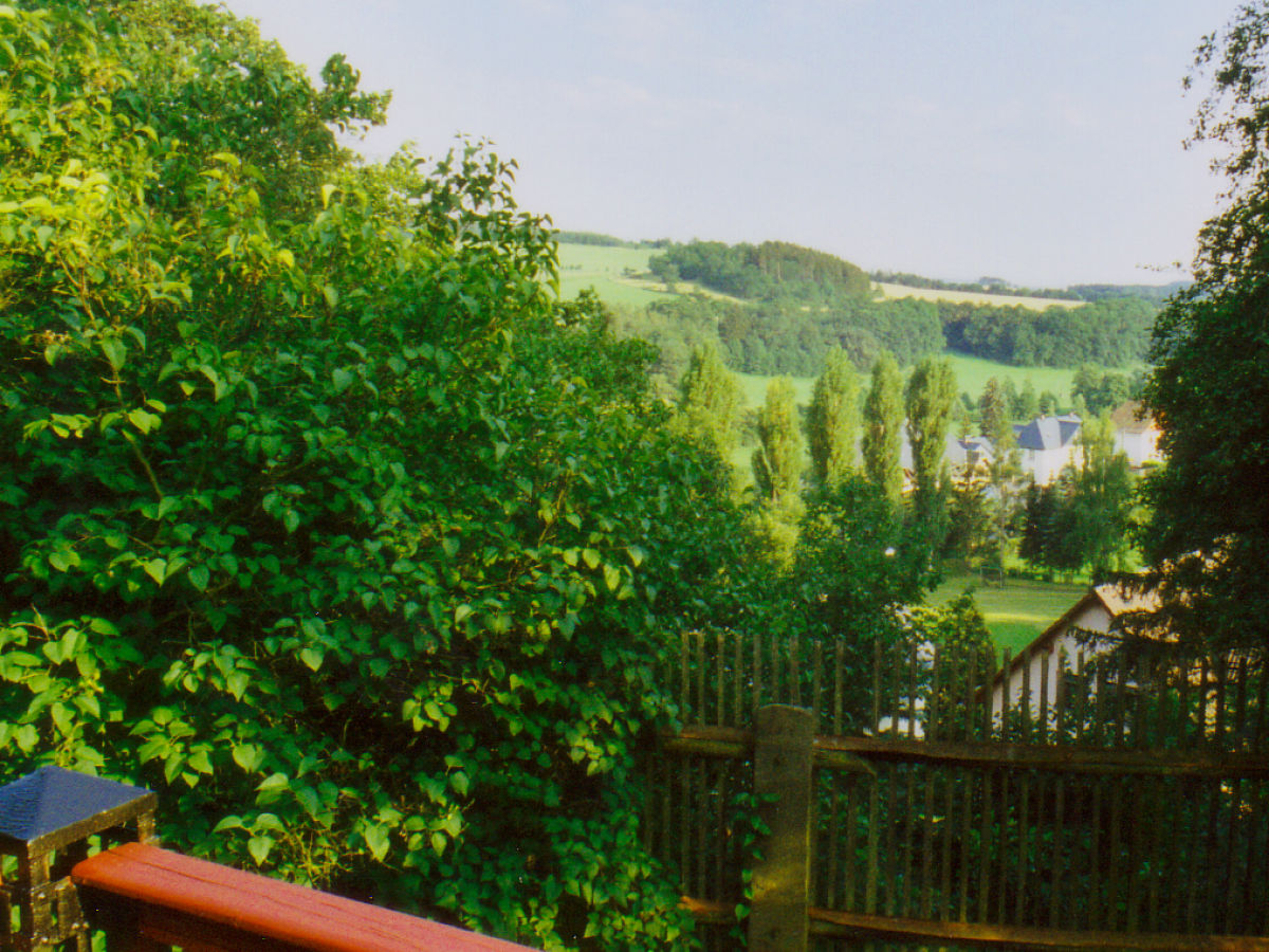 Elsterblick